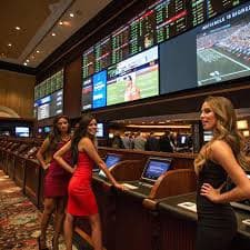 stake bet br stake bet br